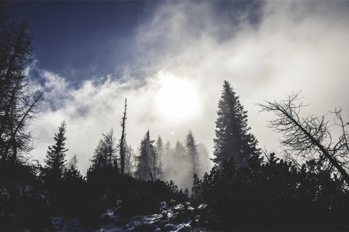 How Technology/AI/Cybersecurity Innovations are Shaping the Future of Cloud Computing
